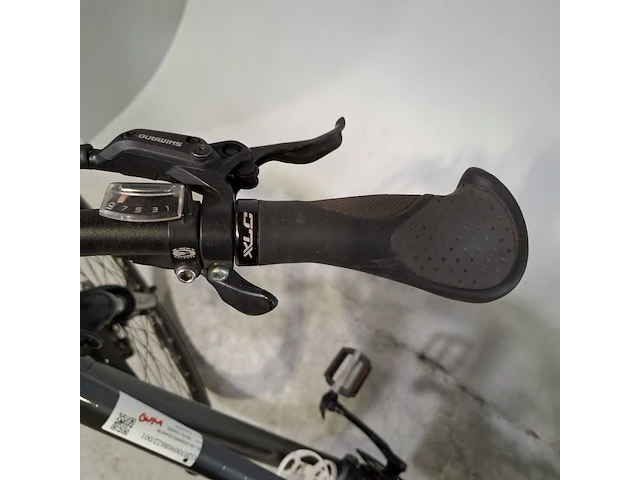 Elektrische damesfiets, kalkhoff, all day ride - afbeelding 14 van  19