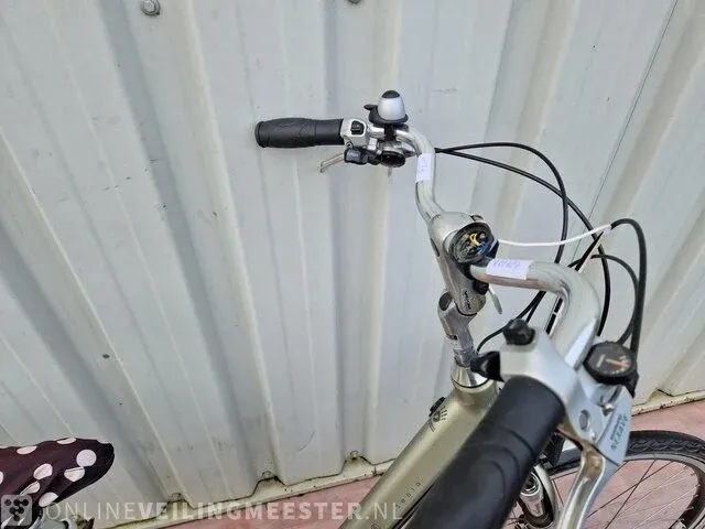 Elektrische damesfiets koga, tesla, zilver-zwart - afbeelding 3 van  7
