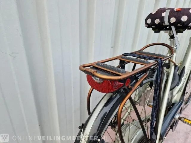 Elektrische damesfiets koga, tesla, zilver-zwart - afbeelding 6 van  7