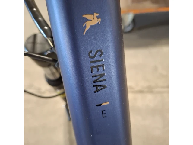 Elektrische damesfiets pegasus, siena, bouwjaar 2021 - afbeelding 8 van  16