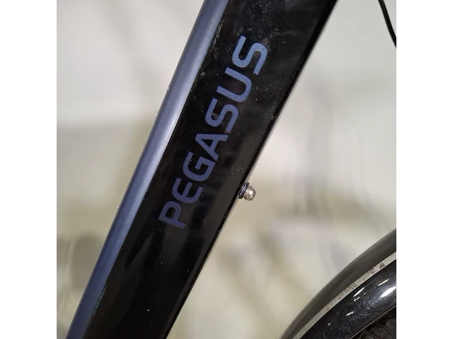 Elektrische damesfiets pegasus, siena, bouwjaar 2021 - afbeelding 9 van  16