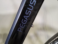 Elektrische damesfiets pegasus, siena, bouwjaar 2021 - afbeelding 9 van  16