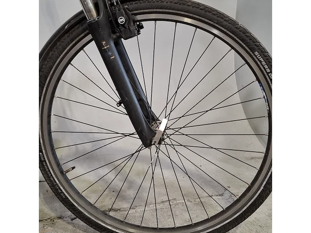 Elektrische damesfiets, pegasus, siena e7f - afbeelding 11 van  15