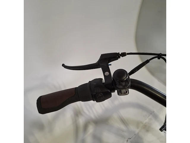 Elektrische damesfiets, pointer, grande - afbeelding 4 van  18