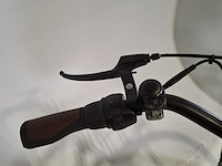 Elektrische damesfiets, pointer, grande - afbeelding 4 van  18