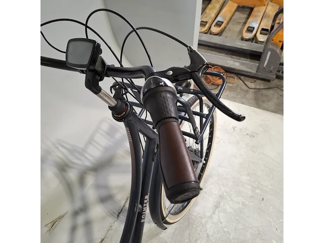 Elektrische damesfiets, pointer, grande - afbeelding 6 van  18
