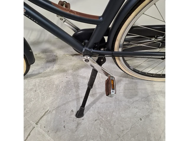 Elektrische damesfiets, pointer, grande - afbeelding 9 van  18