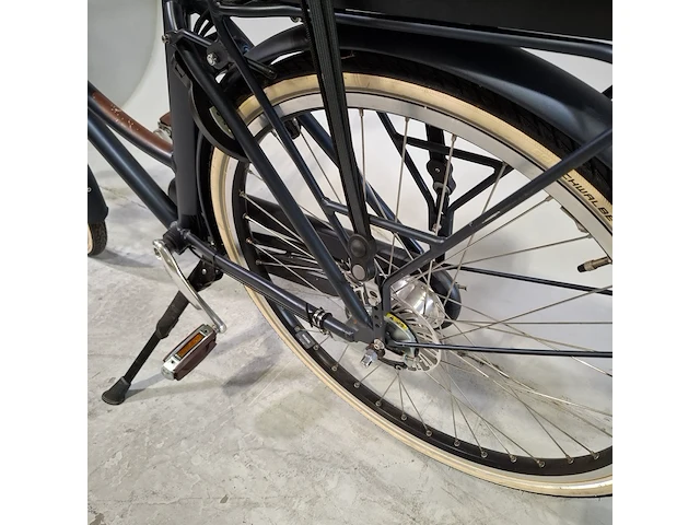Elektrische damesfiets, pointer, grande - afbeelding 10 van  18