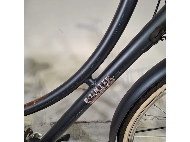 Elektrische damesfiets, pointer, grande - afbeelding 17 van  18