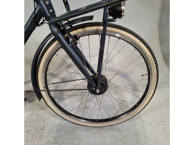 Elektrische damesfiets, pointer, grande - afbeelding 18 van  18