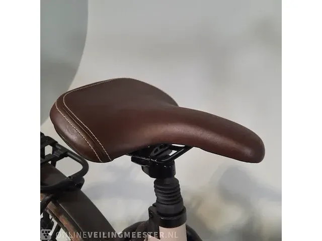 Elektrische damesfiets qwic, m420 - afbeelding 3 van  22