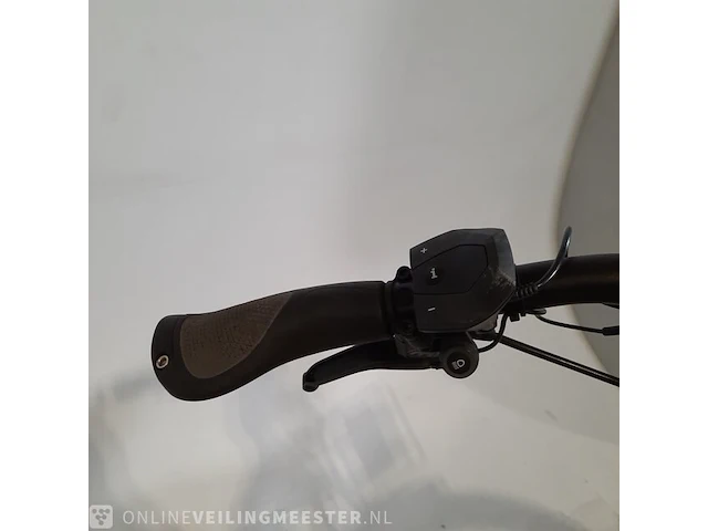 Elektrische damesfiets riese&müller, nevo, bouwjaar 2021 - afbeelding 7 van  22