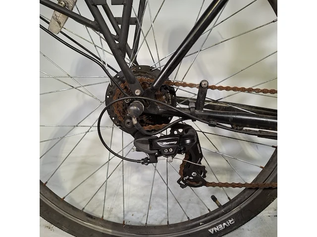 Elektrische damesfiets, rivena, e-go - afbeelding 10 van  20
