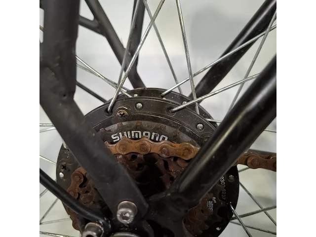Elektrische damesfiets, rivena, e-go - afbeelding 11 van  20