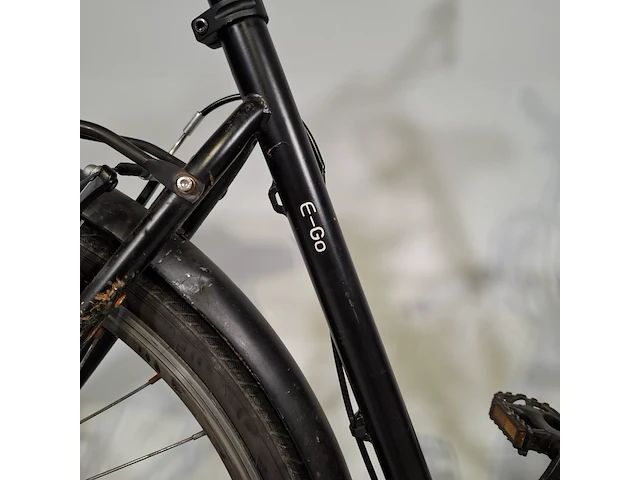Elektrische damesfiets, rivena, e-go - afbeelding 13 van  20