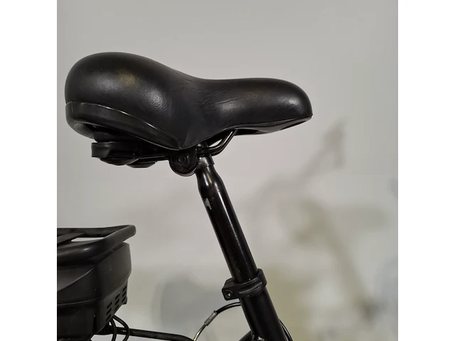 Elektrische damesfiets, rivena, e-go - afbeelding 14 van  20