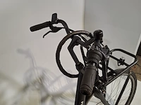 Elektrische damesfiets, rivena, e-go - afbeelding 4 van  20