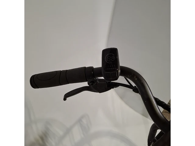 Elektrische damesfiets, rivena, e-go - afbeelding 5 van  20