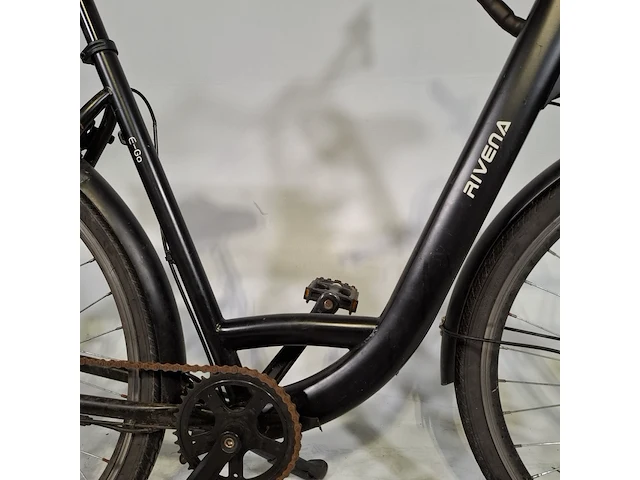 Elektrische damesfiets, rivena, e-go - afbeelding 8 van  20