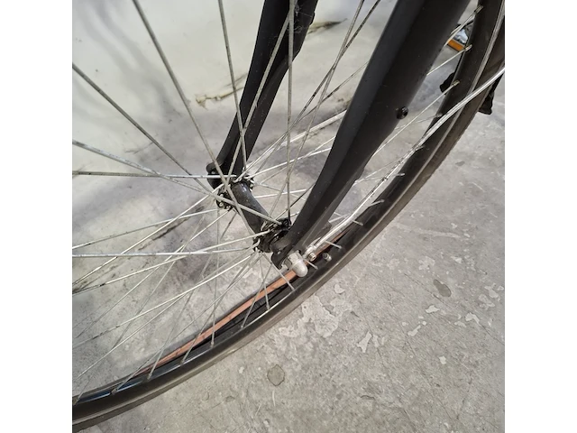 Elektrische damesfiets, rivena - afbeelding 10 van  20