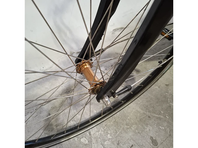 Elektrische damesfiets, sparta, allround e bike r5e - afbeelding 9 van  20
