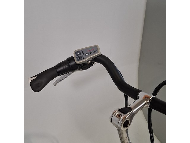 Elektrische damesfiets, sparta, amazone - afbeelding 11 van  13