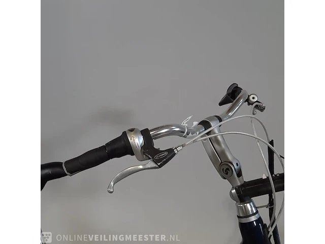 Elektrische damesfiets sparta, avantgarde - afbeelding 12 van  17