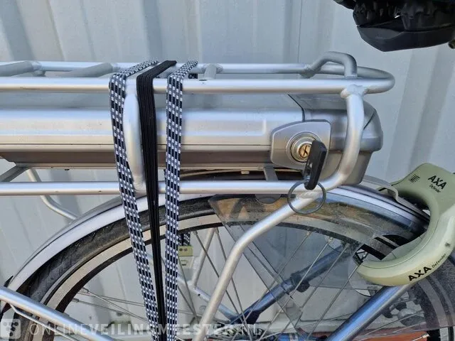 Elektrische damesfiets sparta, emotion c-3, grijs - afbeelding 7 van  10