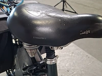 Elektrische damesfiets, sparta, m7s - afbeelding 5 van  15