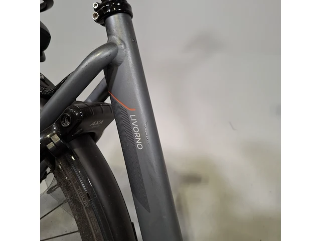 Elektrische damesfiets, stella, livorno - afbeelding 3 van  16