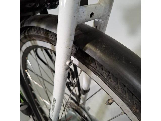 Elektrische damesfiets stella, livorno - afbeelding 13 van  14