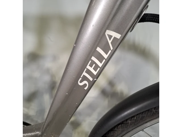 Elektrische damesfiets stella, livorno - afbeelding 7 van  14