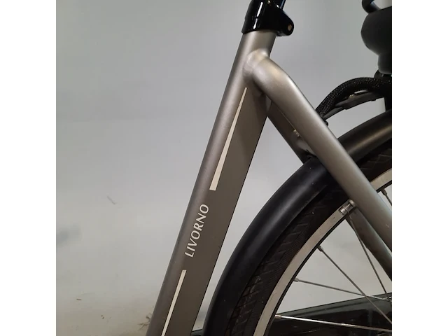 Elektrische damesfiets, stella, livorno - afbeelding 11 van  16
