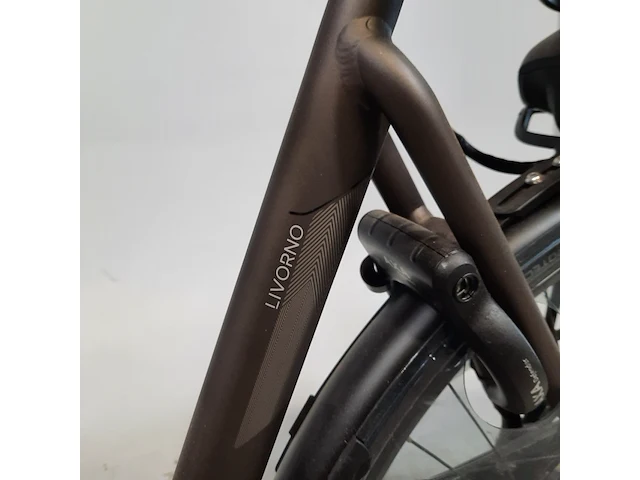 Elektrische damesfiets stella, livorno - afbeelding 12 van  17