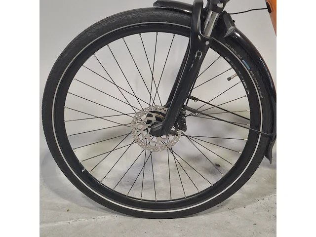Elektrische damesfiets, stella, morena - afbeelding 9 van  18