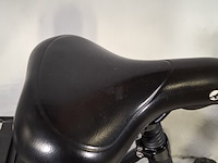 Elektrische damesfiets, stella, vicenza - afbeelding 15 van  17