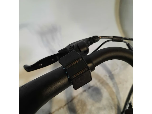 Elektrische damesfiets stella, vienna - afbeelding 6 van  15