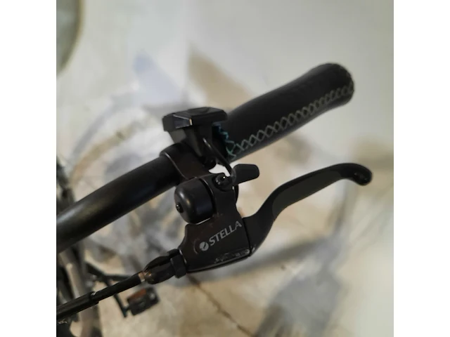 Elektrische damesfiets stella, vienna - afbeelding 7 van  15