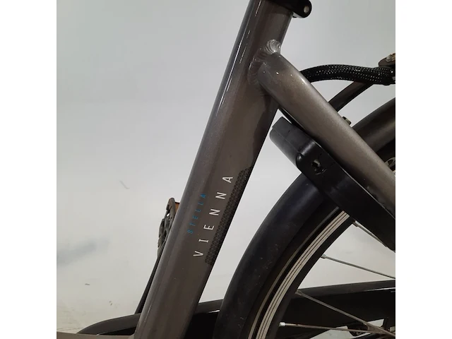 Elektrische damesfiets stella, vienna - afbeelding 10 van  15