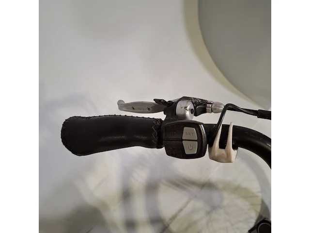 Elektrische damesfiets, trenergy, e-relax pro - afbeelding 4 van  18