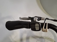 Elektrische damesfiets, trenergy, e-relax pro - afbeelding 4 van  18