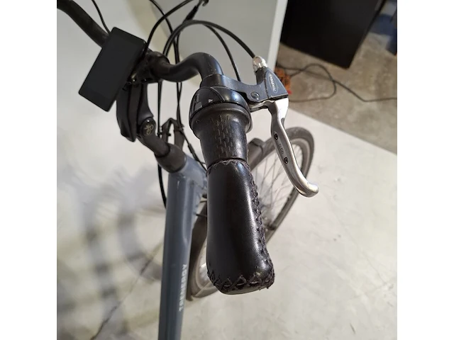 Elektrische damesfiets, trenergy, e-relax pro - afbeelding 6 van  18