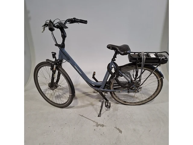 Elektrische damesfiets, trenergy, e-relax pro - afbeelding 7 van  18