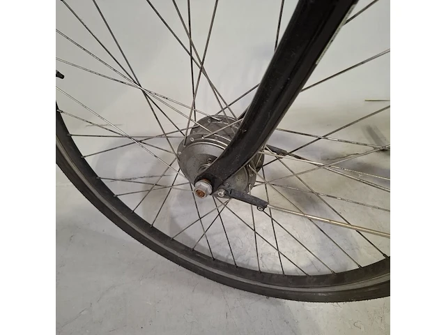 Elektrische damesfiets, trenergy, e-relax pro - afbeelding 8 van  18