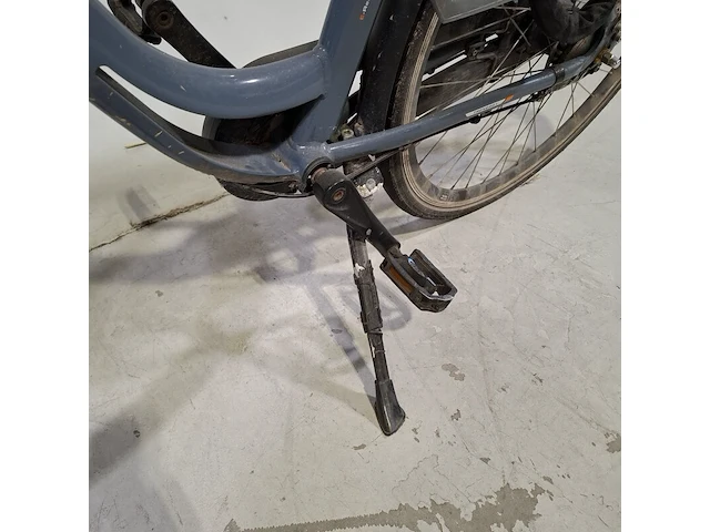 Elektrische damesfiets, trenergy, e-relax pro - afbeelding 9 van  18