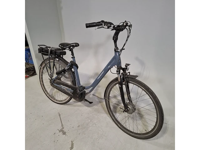 Elektrische damesfiets, trenergy, e-relax pro - afbeelding 14 van  18