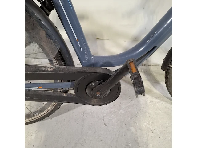 Elektrische damesfiets, trenergy, e-relax pro - afbeelding 16 van  18