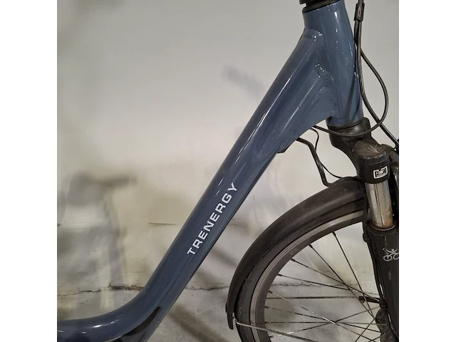 Elektrische damesfiets, trenergy, e-relax pro - afbeelding 18 van  18
