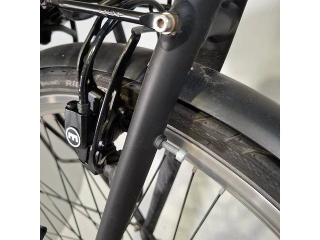 Elektrische damesfiets union, bouwjaar 2020 - afbeelding 4 van  19