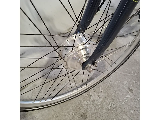 Elektrische damesfiets, union, cadence - afbeelding 8 van  17